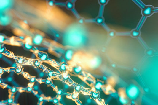 Polyphenols Help Maintain Immune Equilibrium