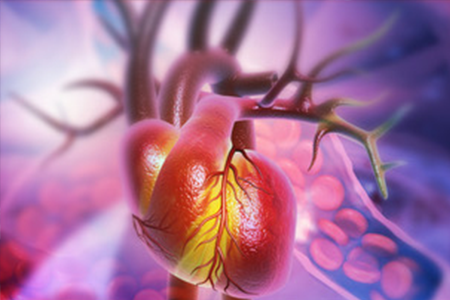 EPA Supplementation Improves IL-10 Levels and Immune Genetic Expression