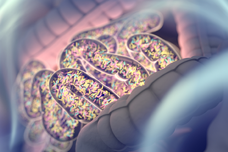 Vitamin A Status Minds Gut Mucosal Immunity