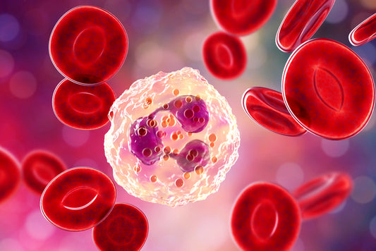 Immune Aging May Drive Overall Aging