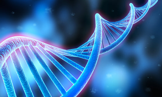 Targeted Lifestyle Intervention May Help Reduce Epigenetic Age