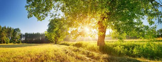 Vitamin D Deficiency is Another Kind of Epidemic
