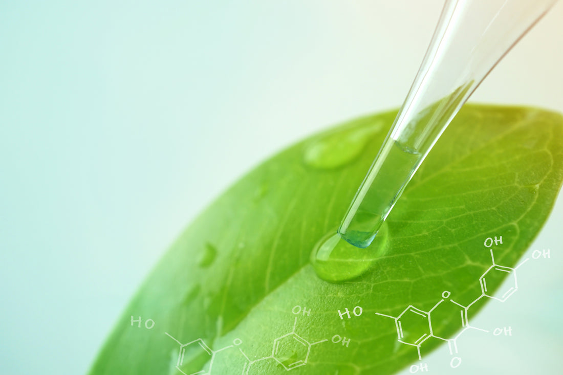 Quercetin and Luteolin as Dietary Modulators of Cytokines