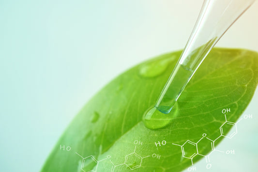 Quercetin and Luteolin as Dietary Modulators of Cytokines