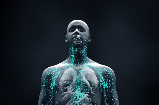 Nutraingredients: Immunity's Connection to Healthy Aging