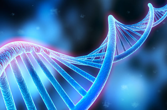 The Most Important Medical Discovery in 20 Years