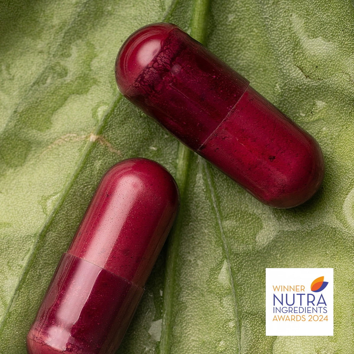 Microbiome Rejuvenate®